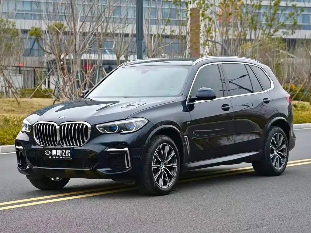 BMW X5 2022 из CN, фото 1