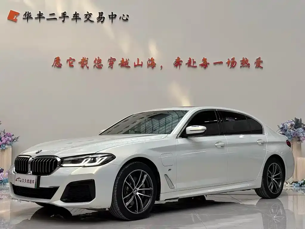 BMW 5 Series New Energy 2021 из CN, фото 1