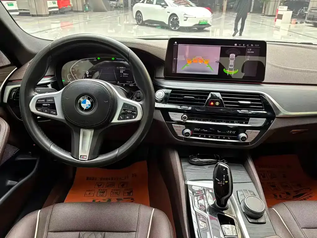 BMW 5 Series New Energy 2021 из CN, фото 5