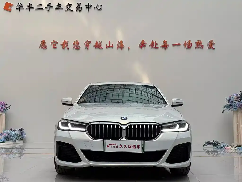BMW 5 Series New Energy 2021 из CN, фото 6