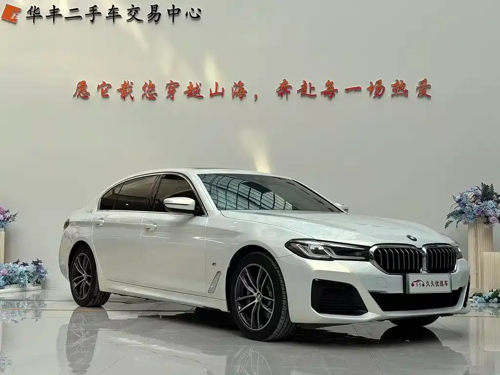 BMW 5 Series New Energy 2021 из CN, фото 7