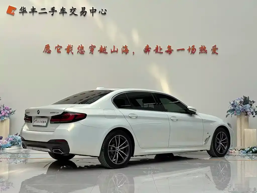 BMW 5 Series New Energy 2021 из CN, фото 3