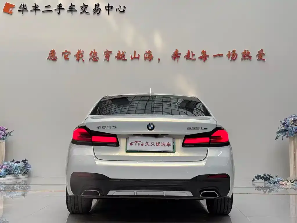 BMW 5 Series New Energy 2021 из CN, фото 2
