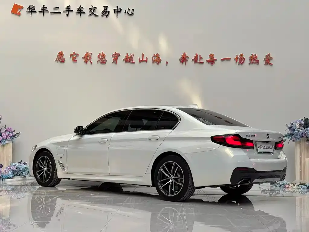 BMW 5 Series New Energy 2021 из CN, фото 9