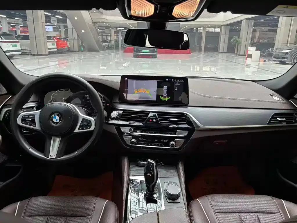 BMW 5 Series New Energy 2021 из CN, фото 10