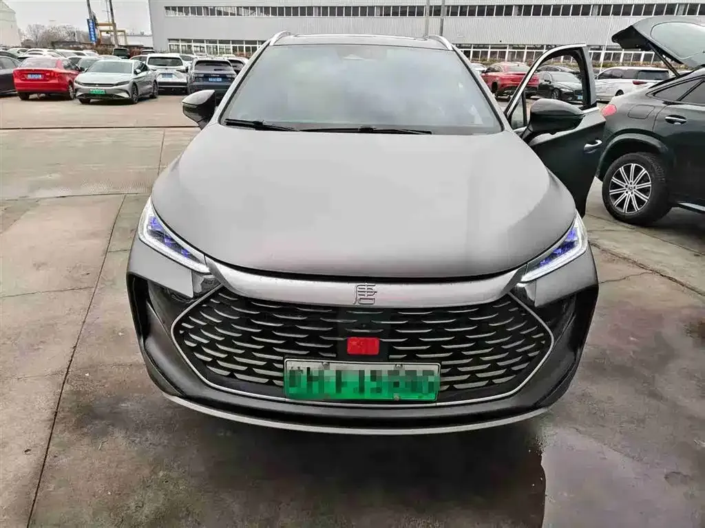 BYD Tang New Energy 2024 из CN, фото 1
