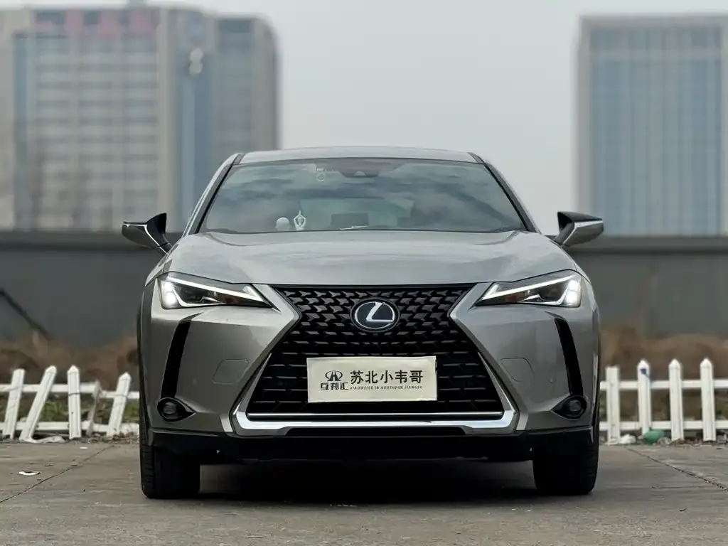 Lexus UX 2021 из CN, фото 1