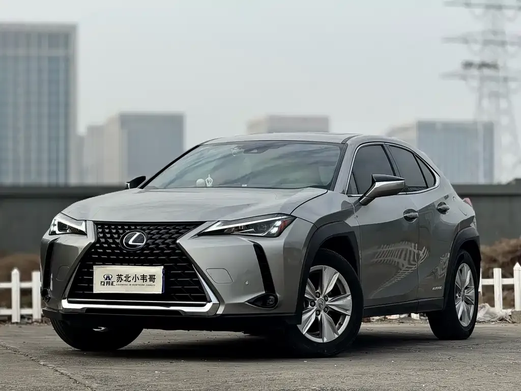 Lexus UX 2021 из CN, фото 7