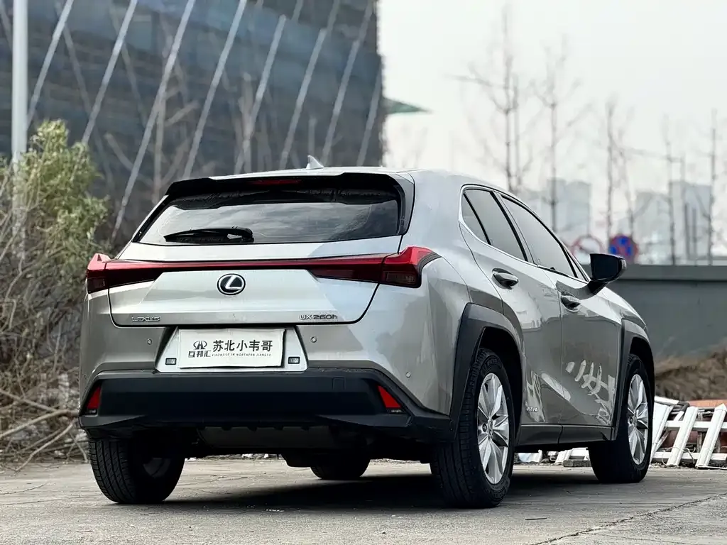 Lexus UX 2021 из CN, фото 8