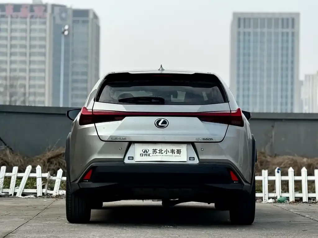 Lexus UX 2021 из CN, фото 9