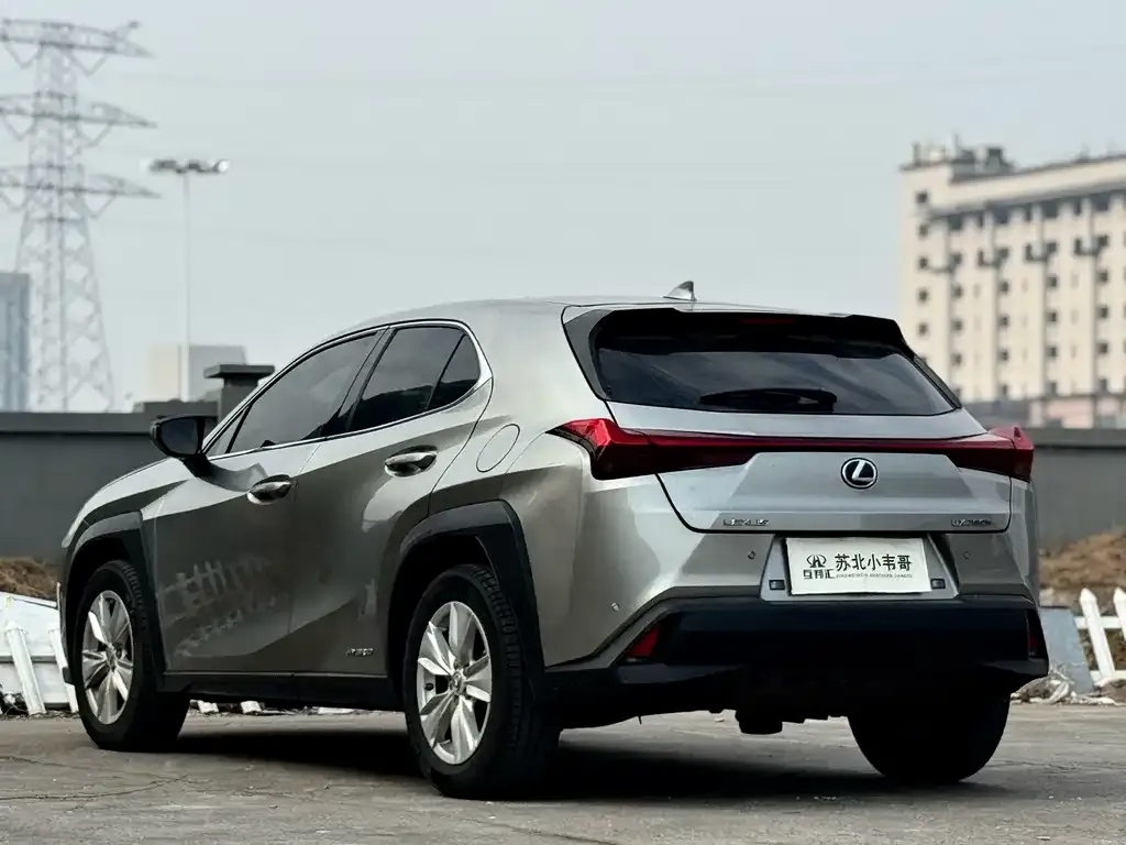Lexus UX 2021 из CN, фото 6