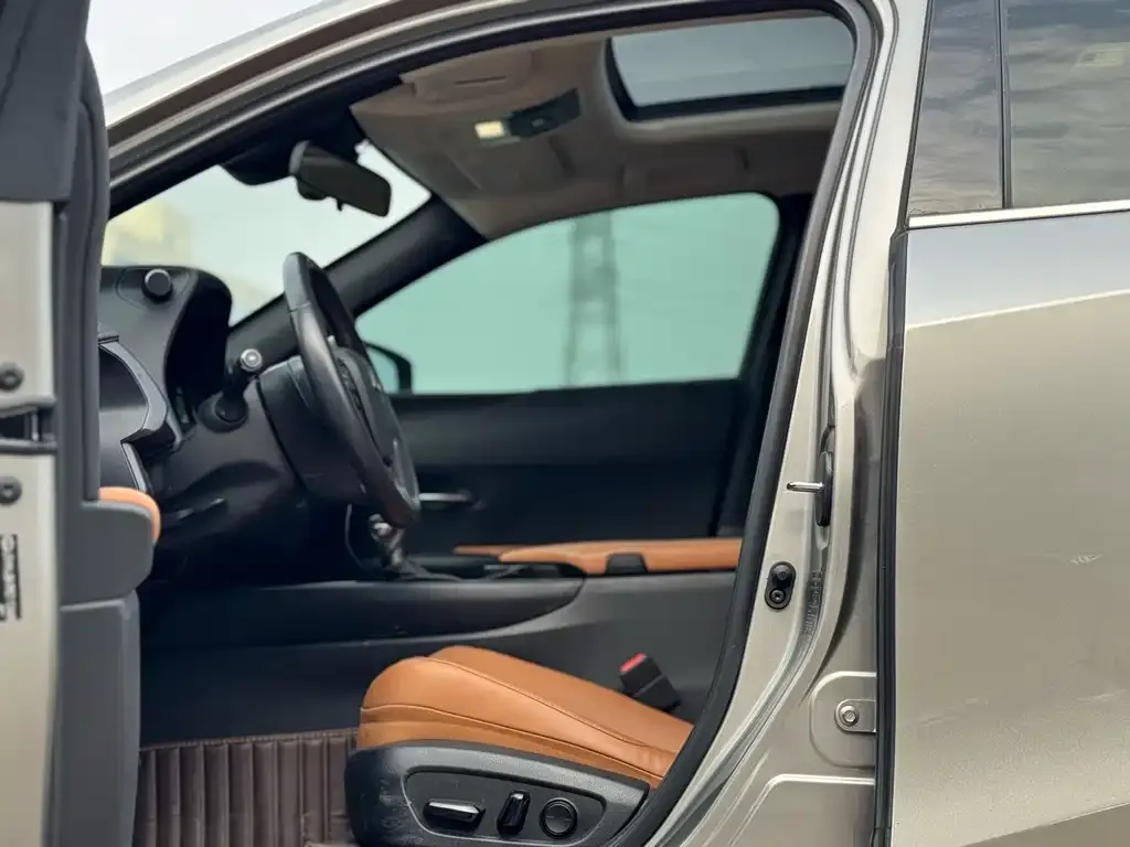 Lexus UX 2021 из CN, фото 3