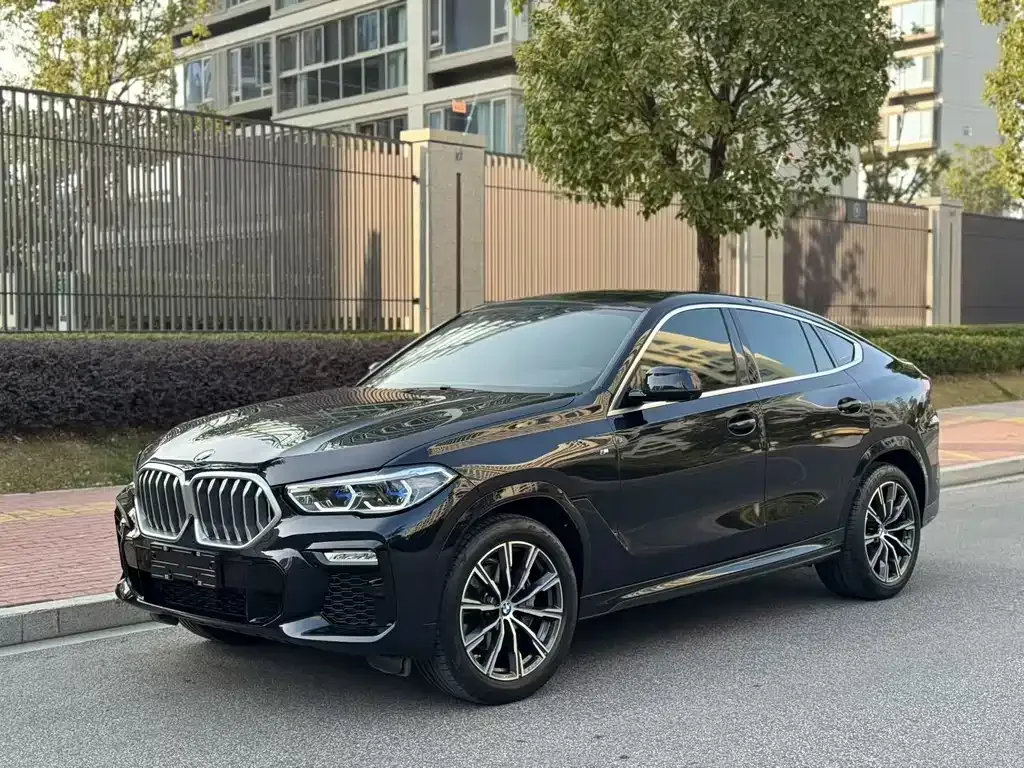 BMW X6 2022 из CN, фото 1