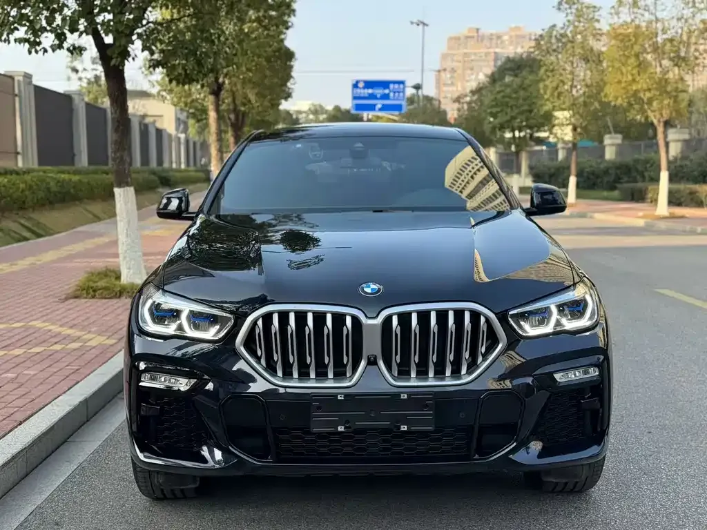 BMW X6 2022 из CN, фото 3