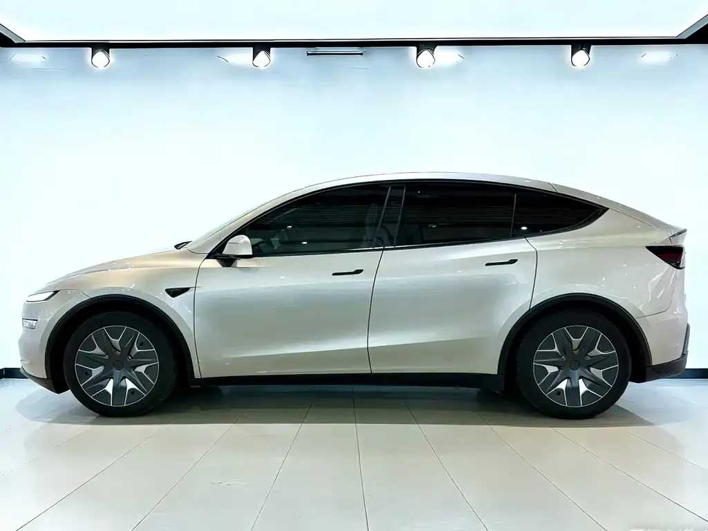 Tesla Model Y L 2026 из CN, фото 5