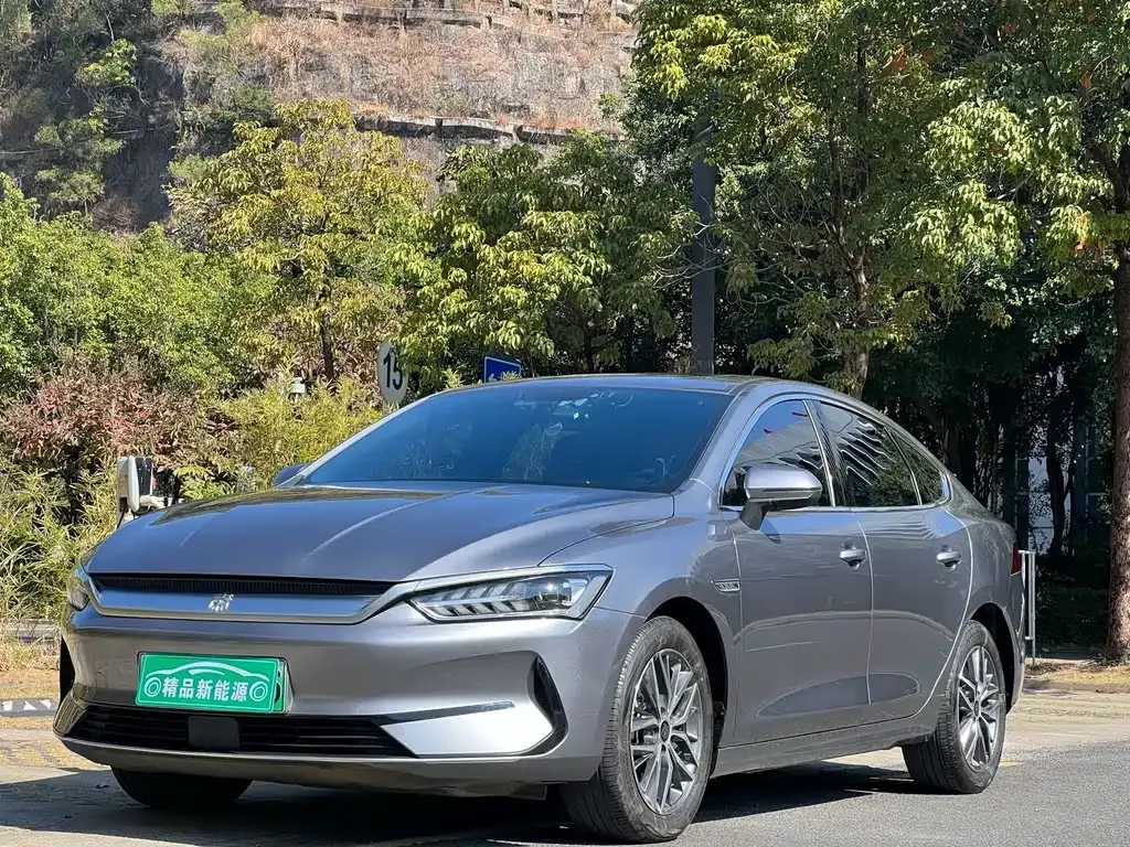BYD Qin PLUS 2024 из CN, фото 1