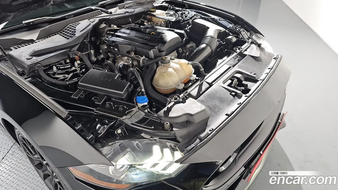 Ford Mustang 2021 из KR, фото 8