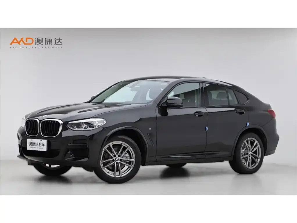 BMW X4 2021 из CN, фото 1