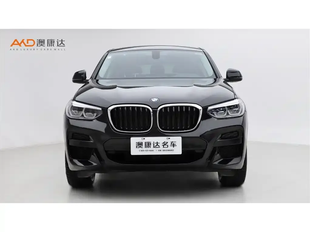 BMW X4 2021 из CN, фото 3