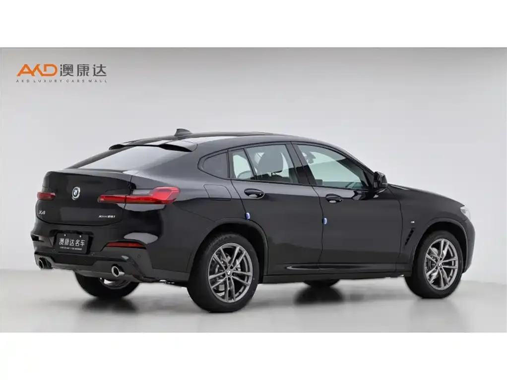 BMW X4 2021 из CN, фото 2