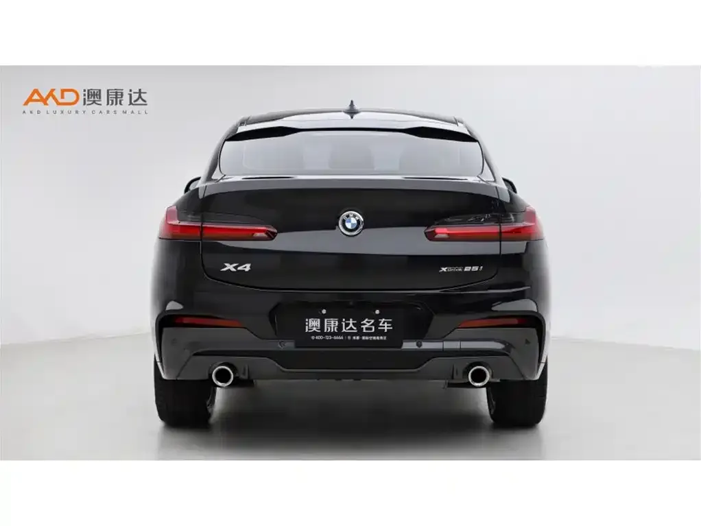 BMW X4 2021 из CN, фото 4