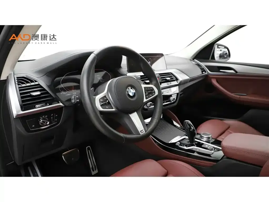 BMW X4 2021 из CN, фото 9