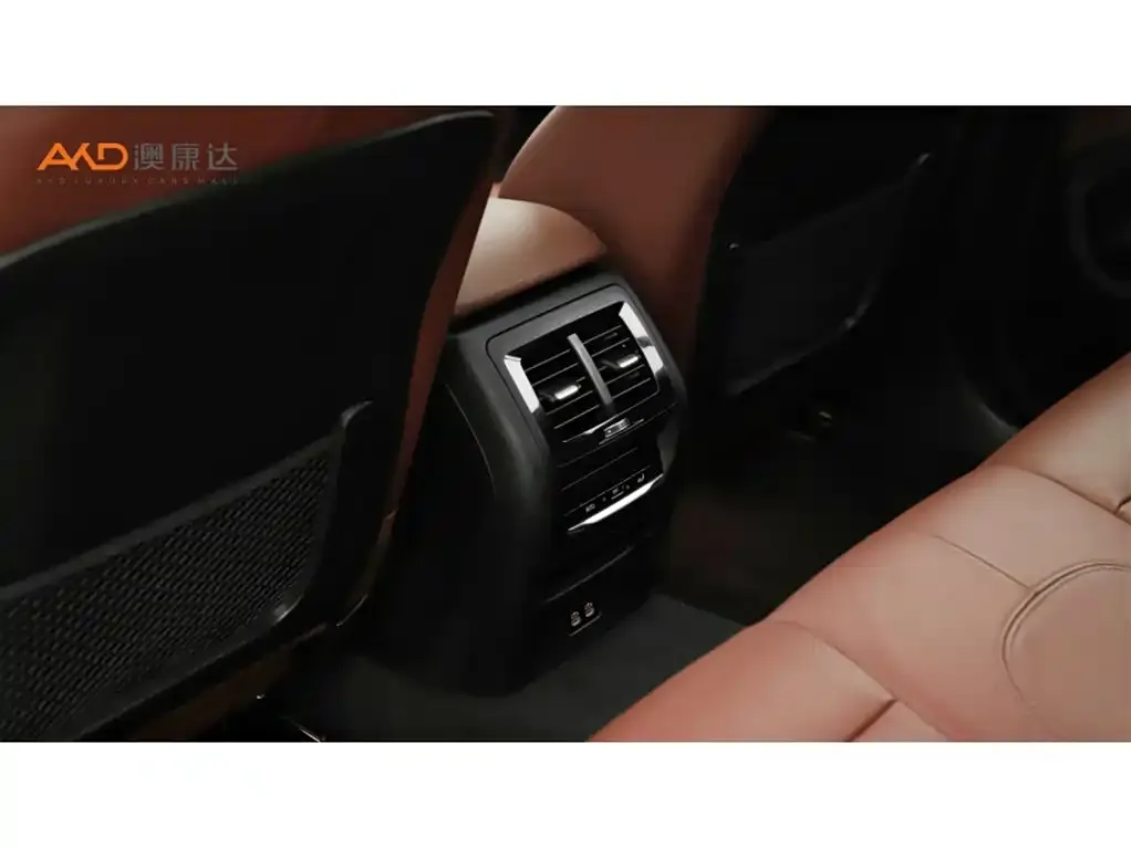 BMW X4 2021 из CN, фото 5