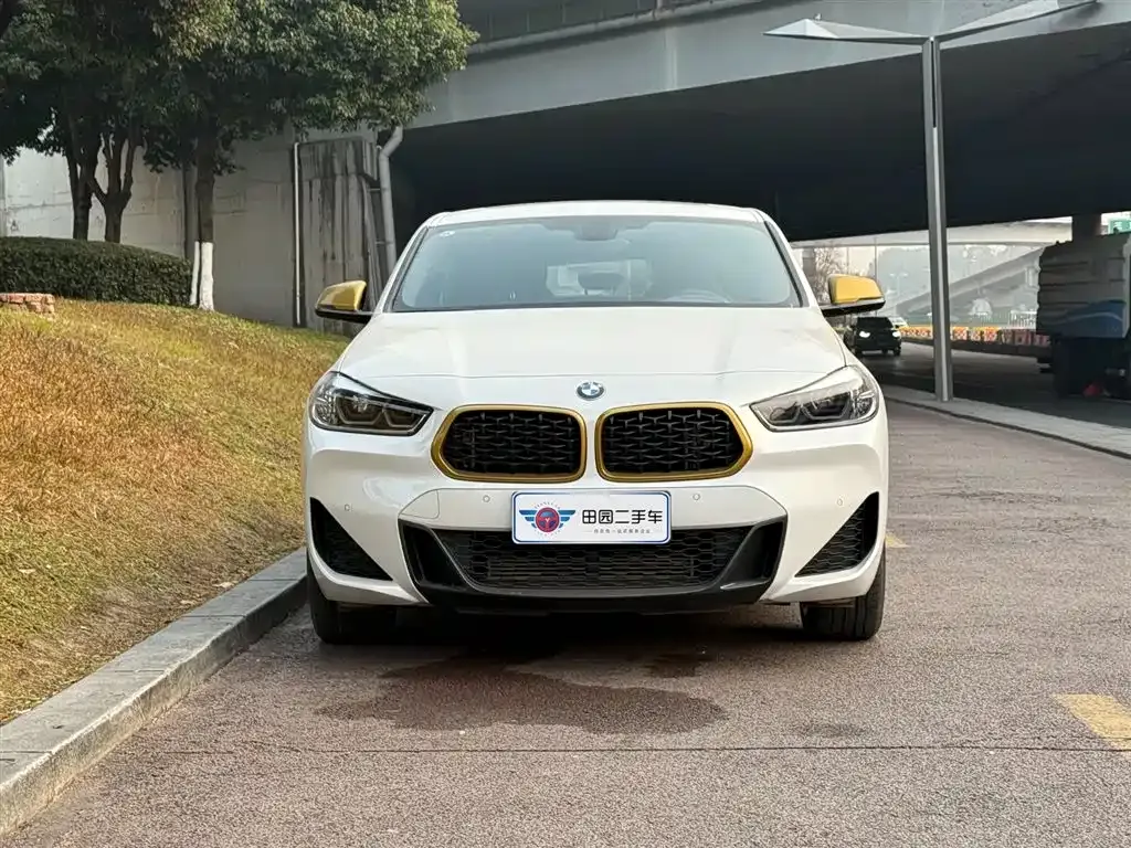 BMW X2 2023 из CN, фото 9