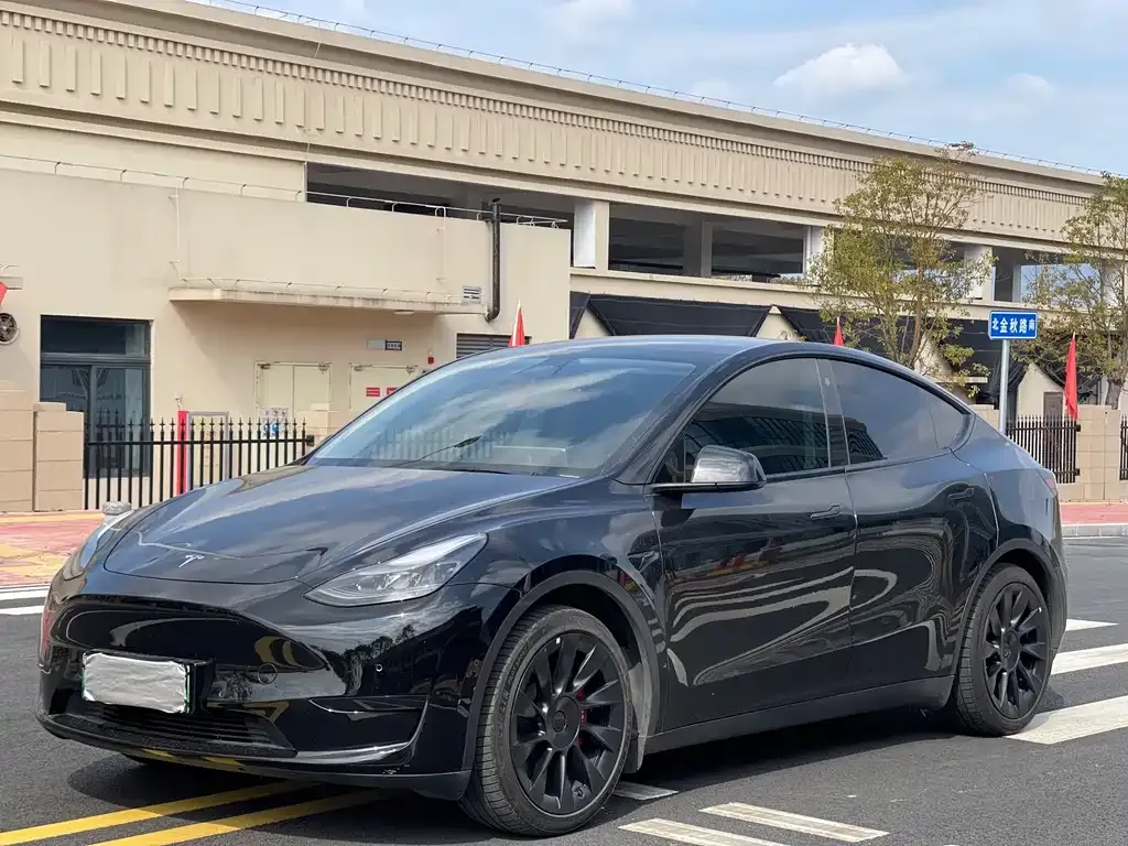 Tesla Model Y 2022 из CN, фото 1