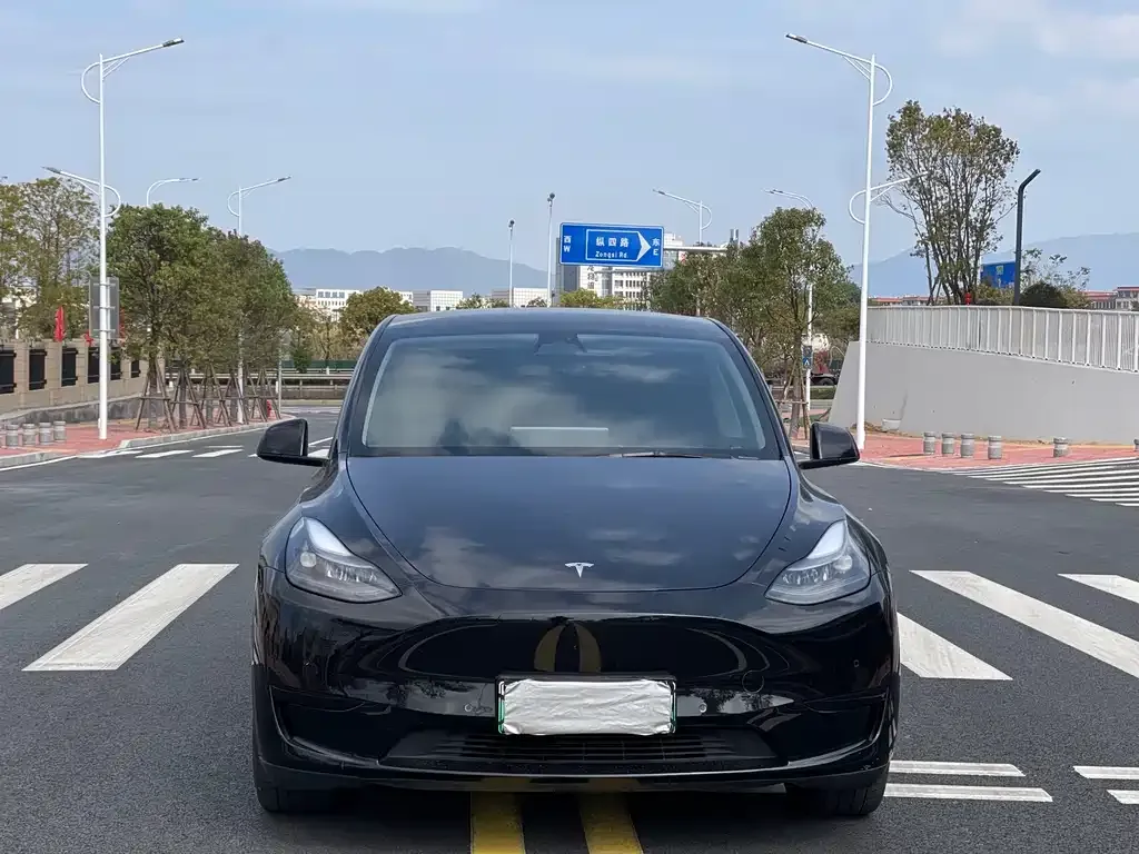 Tesla Model Y 2022 из CN, фото 5