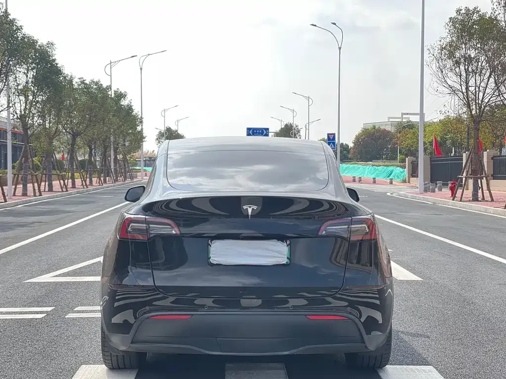 Tesla Model Y 2022 из CN, фото 9