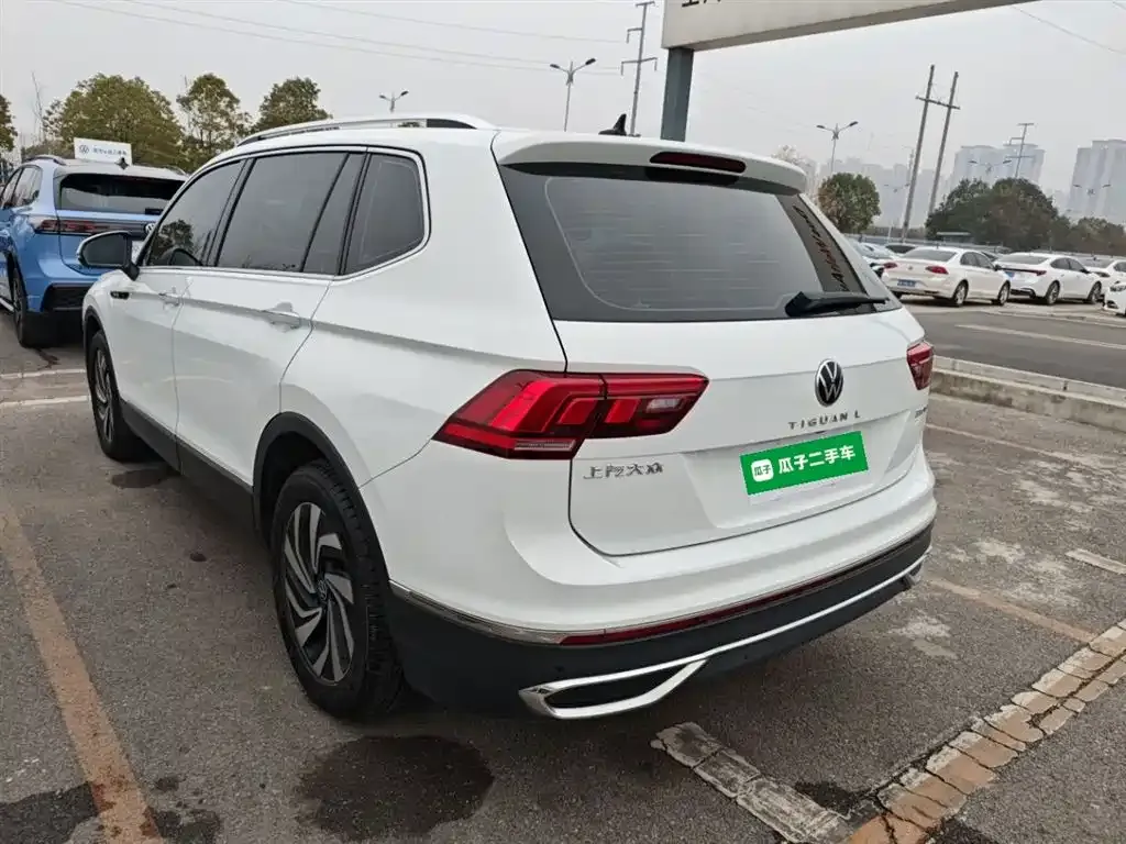 Volkswagen Tiguan L 2023 из CN, фото 9