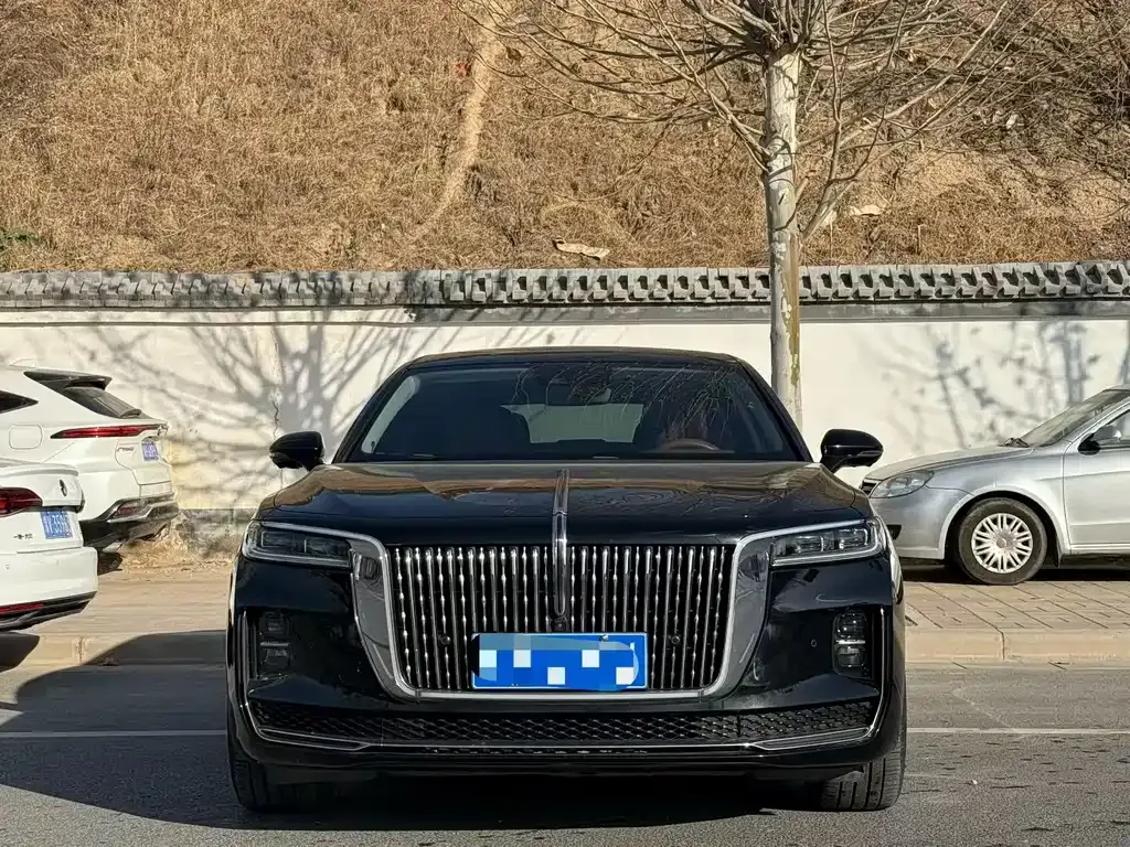Hongqi H9 2022 из CN, фото 9
