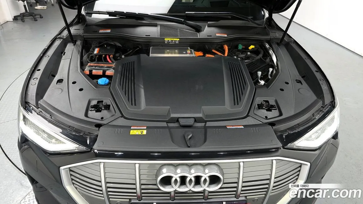 Audi e-tron 2023 из KR, фото 8