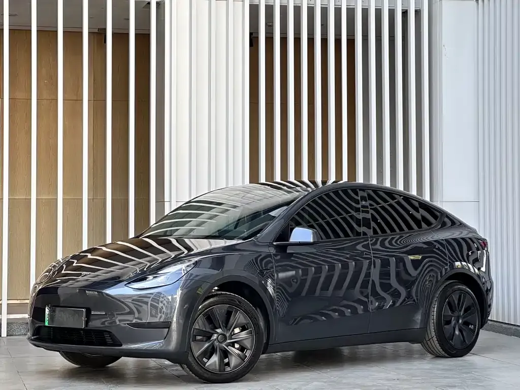 Tesla Model Y 2024 из CN, фото 1