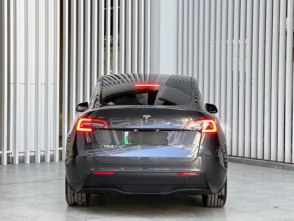 Tesla Model Y 2024 из CN, фото 5