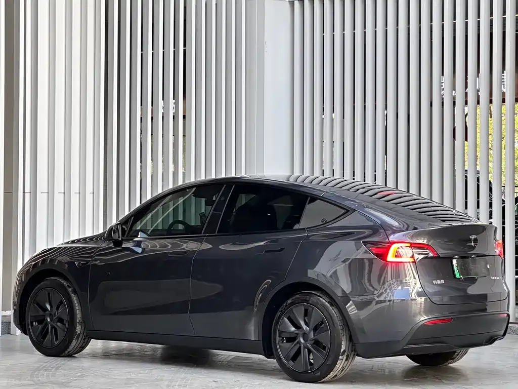 Tesla Model Y 2024 из CN, фото 9
