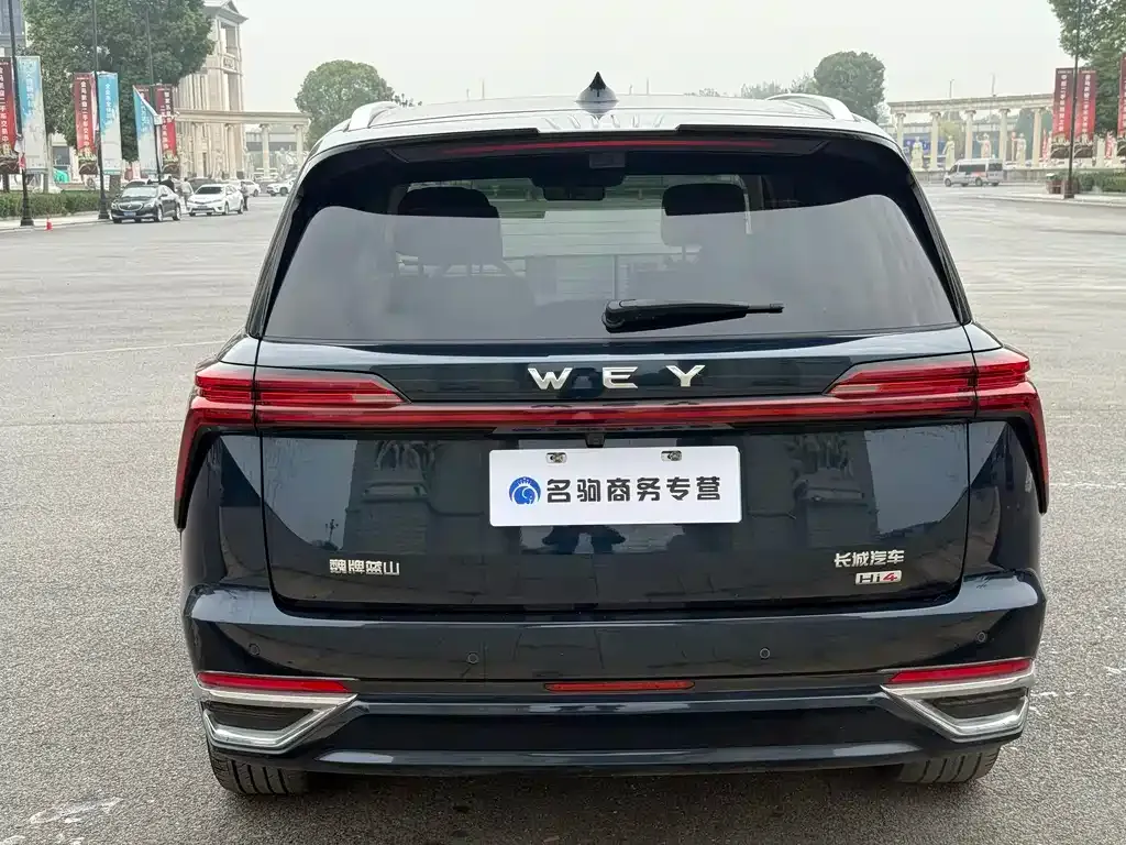 Wey Lanshan 2025 из CN, фото 2