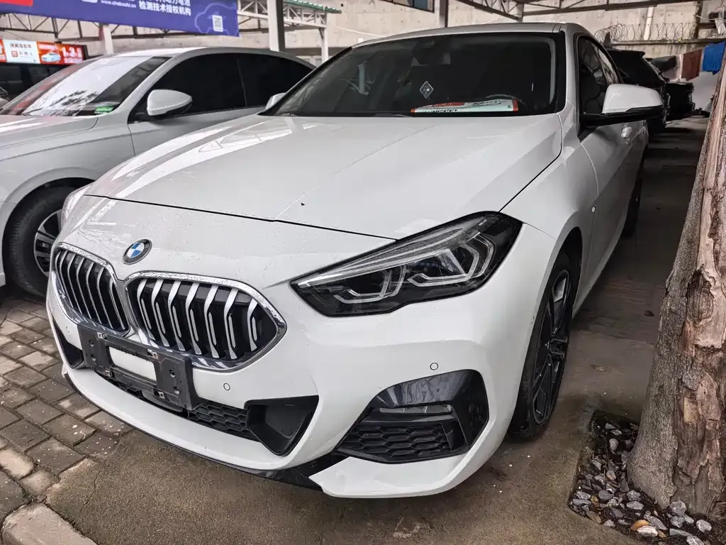 BMW 2 Series (Import) 2022 из CN, фото 1