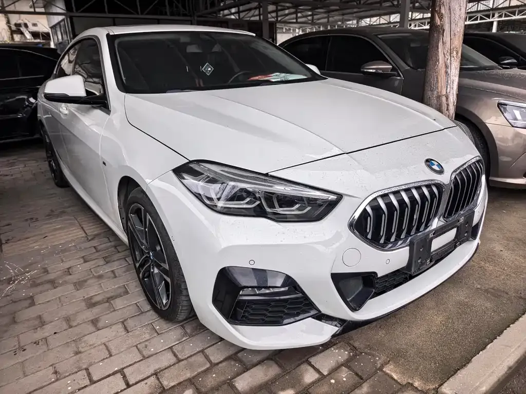 BMW 2 Series (Import) 2022 из CN, фото 9