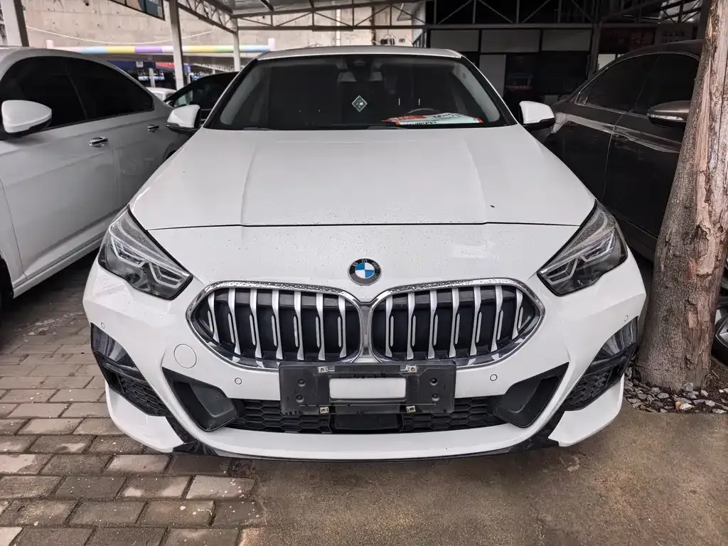 BMW 2 Series (Import) 2022 из CN, фото 10