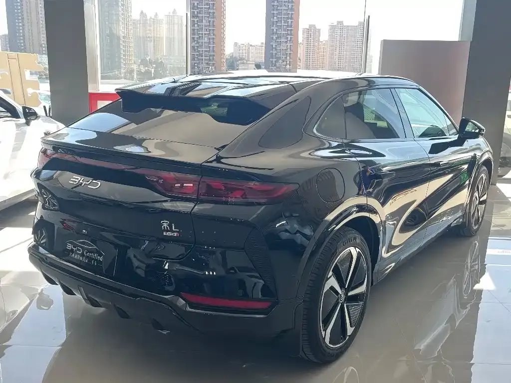 BYD L EV 2025 из CN, фото 5