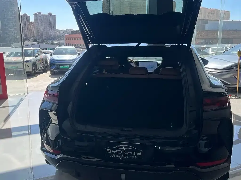 BYD L EV 2025 из CN, фото 4