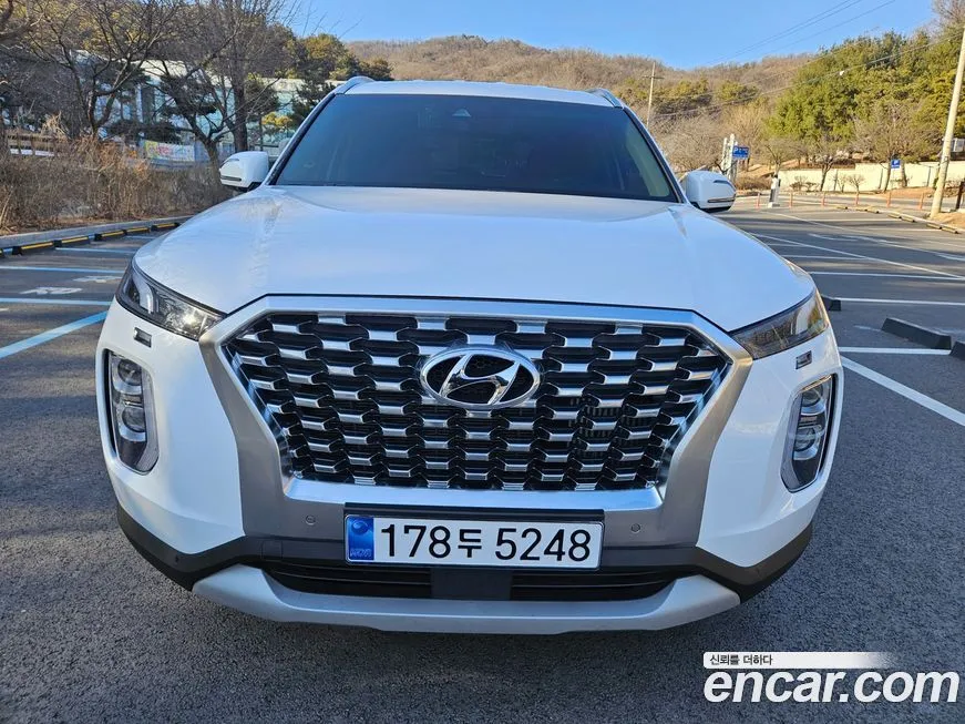 Hyundai Palisade — фото 9