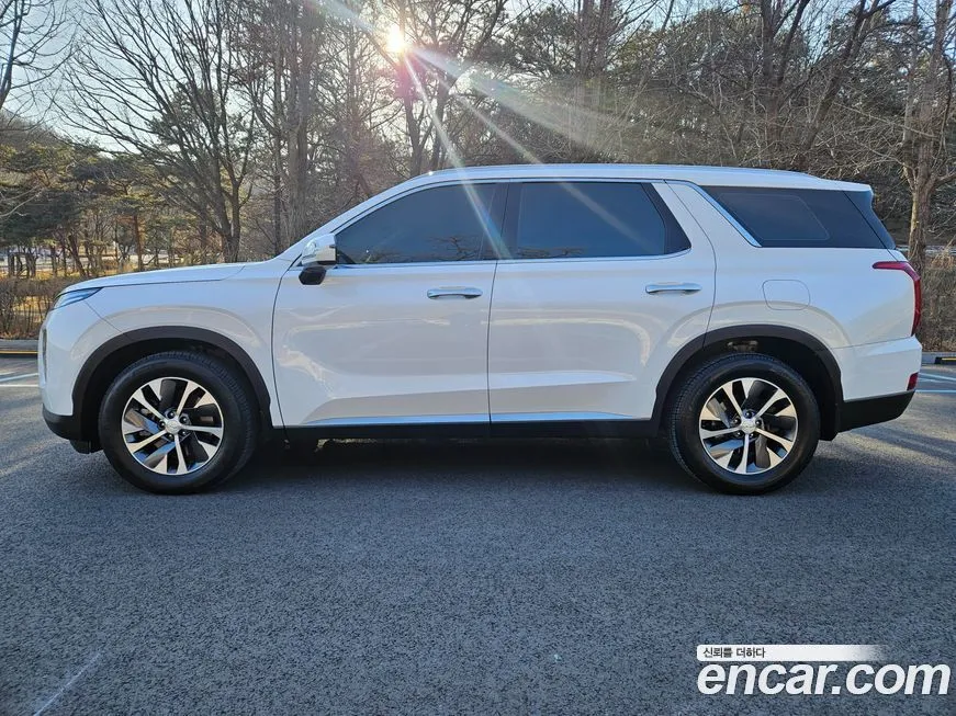 Hyundai Palisade — фото 8