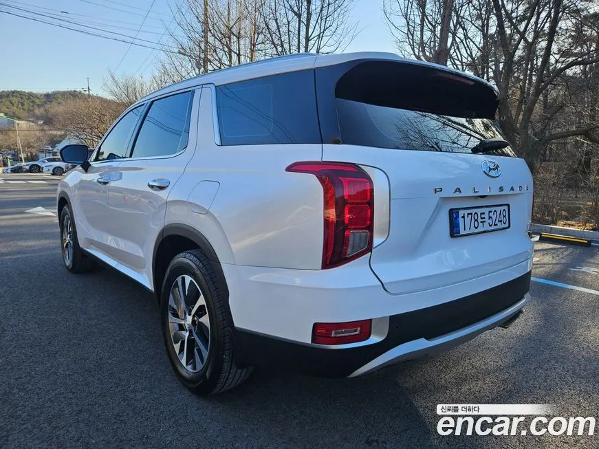 Hyundai Palisade — фото 10