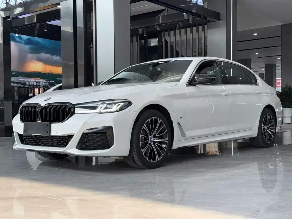 BMW 5 Series 2021 из CN, фото 1