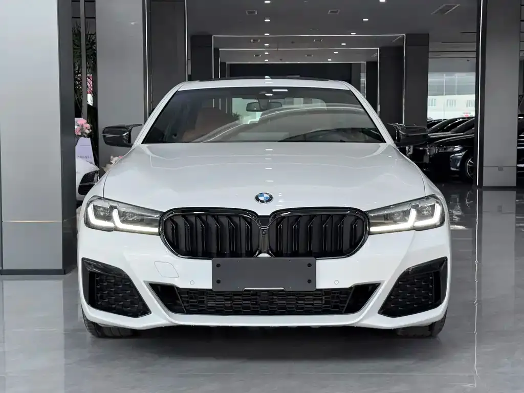 BMW 5 Series 2021 из CN, фото 7