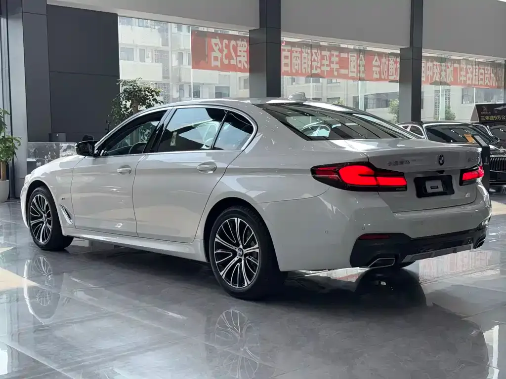 BMW 5 Series 2021 из CN, фото 5