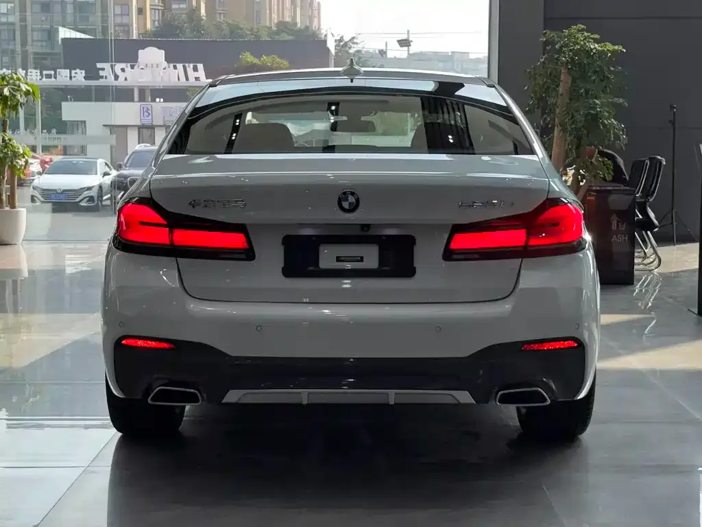 BMW 5 Series 2021 из CN, фото 2